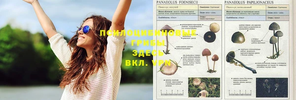 мяу мяу мука Волосово