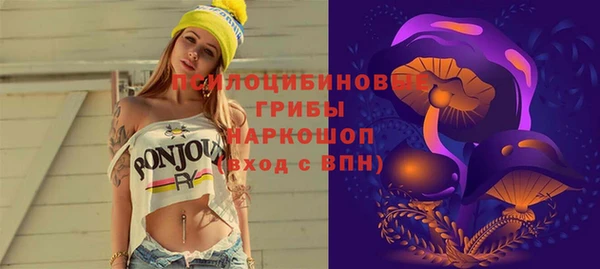 твердый Володарск